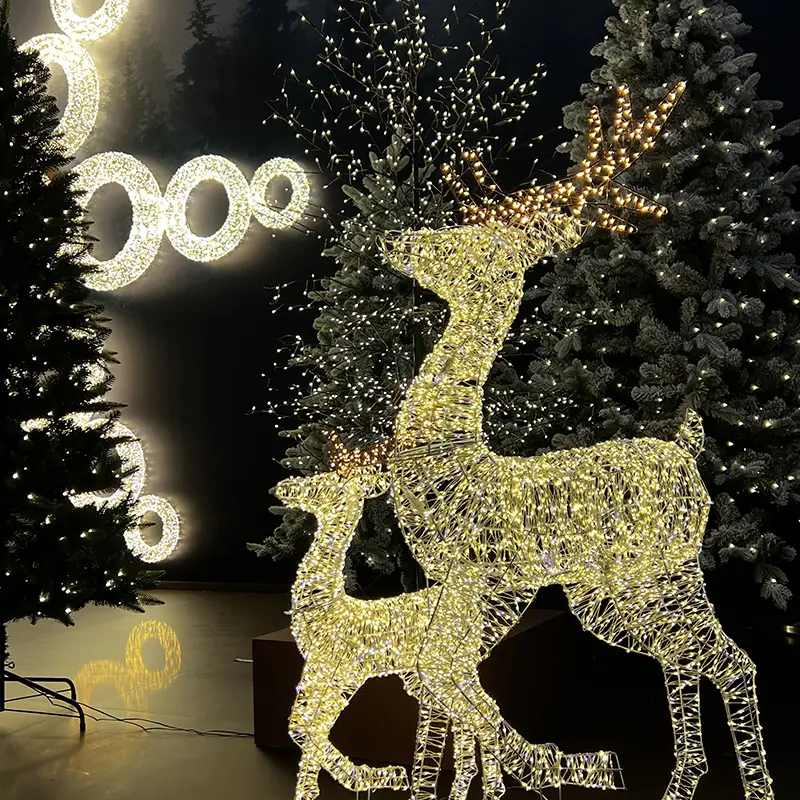 decorazioni-luminose-natalizie-allingrosso