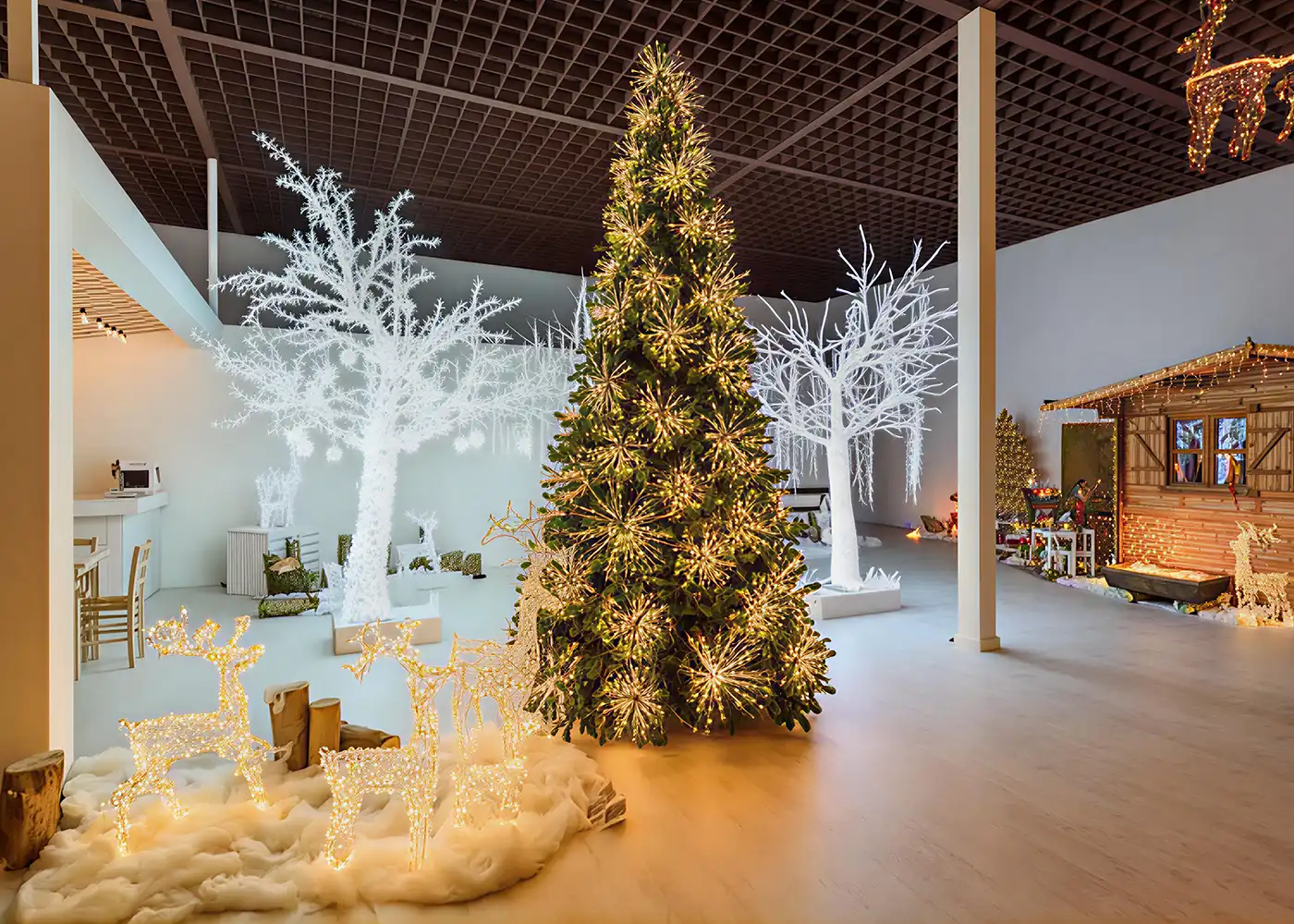 la-storia-di-lotti-importex-srl